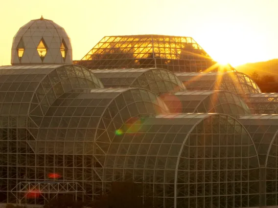 sunrise biosphere