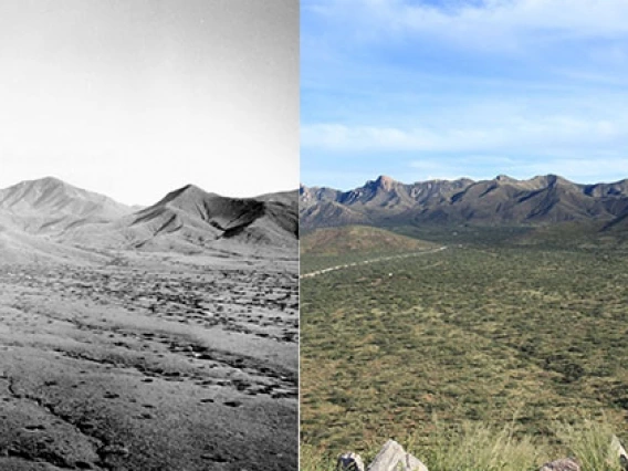 Repeat photographer shows the SRER landds over its 120 history