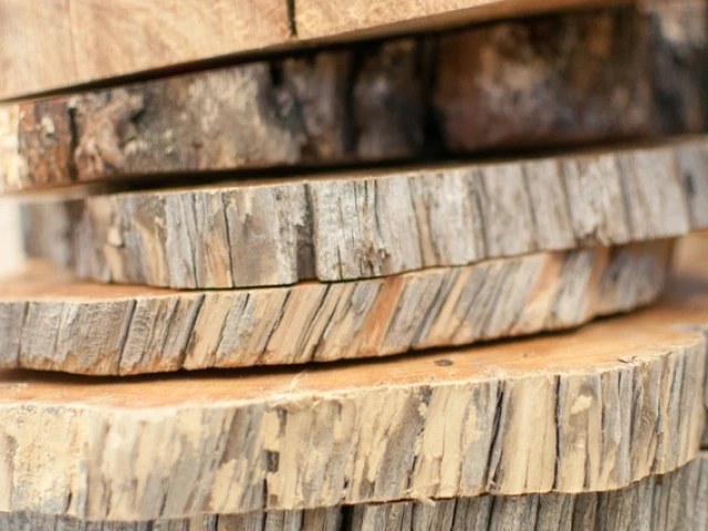 tree-ring cross sectional samples stacked on top of one another