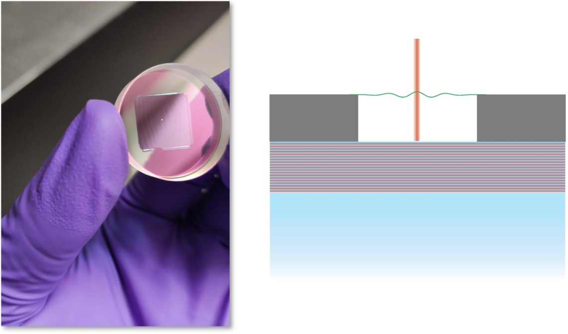 Vertically integrated "membrane-on-a-mirror" optical cavity developed at UArizona.