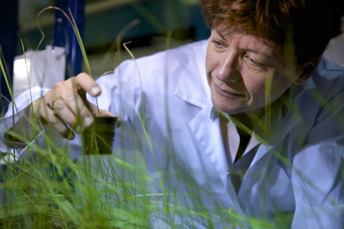 Dr. Claude Grison